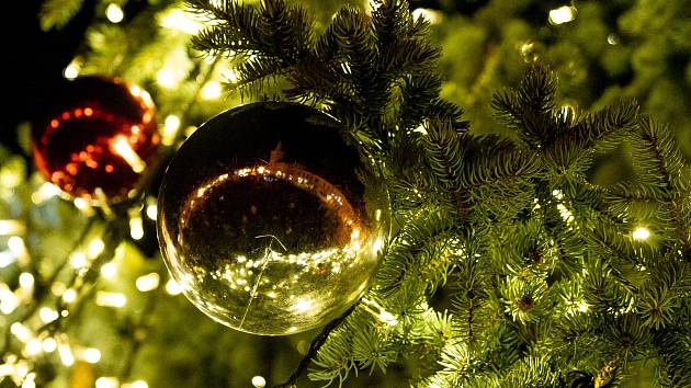 Který vánoční strom bude letos na Hradecku ten nejkrásnější? Ilustrační foto. 