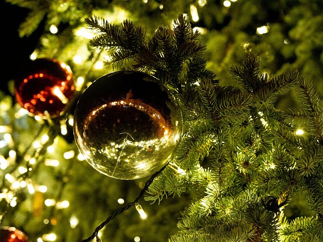 Nominujte nejkrásnější vánoční strom z Kladenska do oblíbené ankety čtenářů