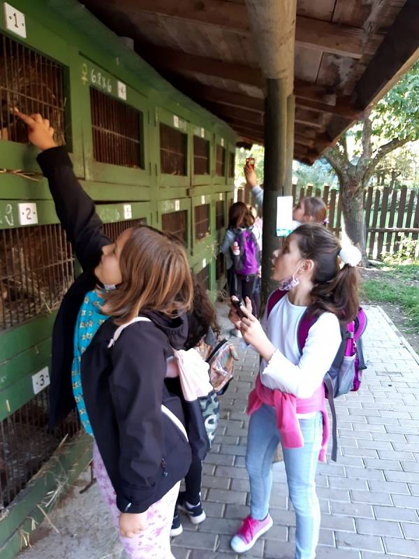 Školní družina ZŠ Kadaňská Chomutov byla v zooparku.