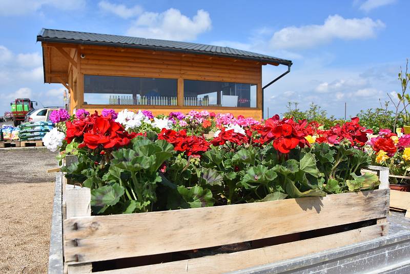 Na poli za Žatcem má pěstitel ze Strupčic také krámek s česnekem, další zeleninou, farmářskými produkty a sazenicemi květin.