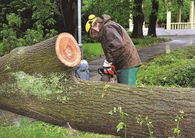 Pracovník technických služeb rozřezává jeden ze spadlých stromů v chomutovském parku.