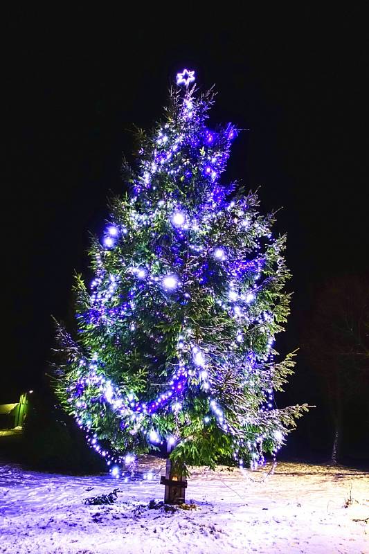Vánoční strom v Měděnci