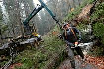 Říjnová vichřice stále vystavuje účty. Zákazy vstupu i zlámané stromy v lesích přetrvávají. Práce na odklízení stromů pokračují.
