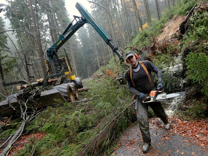 Říjnová vichřice stále vystavuje účty. Zákazy vstupu i zlámané stromy v lesích přetrvávají. Práce na odklízení stromů pokračují.