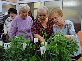Seniorky obdivují rozkvetlé bylinky.