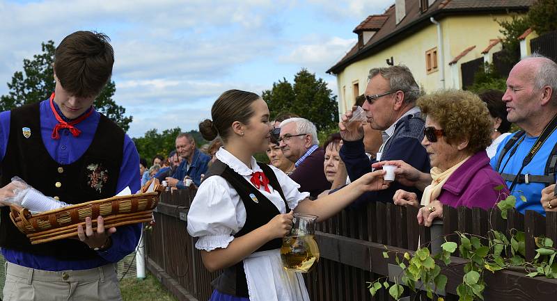 Svatováclavské vinobraní v Kadani.