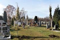 V Radonicích obnovili díky grantu Nadace ČEZ zeleň na tamním hřbitově.