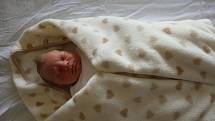 Damián Šnejder spatřil poprvé světlo světa 19.2.2017 v 10:35 hodin v chomutovské porodnici. Maminka Simona Haklová a tatínek Daniel Šnejder z Chomutova se od té doby radují z chlapečka s mírami 3,3 kg a 50 cm. 