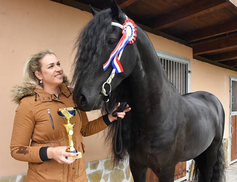 Wickey van Dupaumolen je šampion hřebců. Na snímku se svou majitelkou Denisou Budákovou.