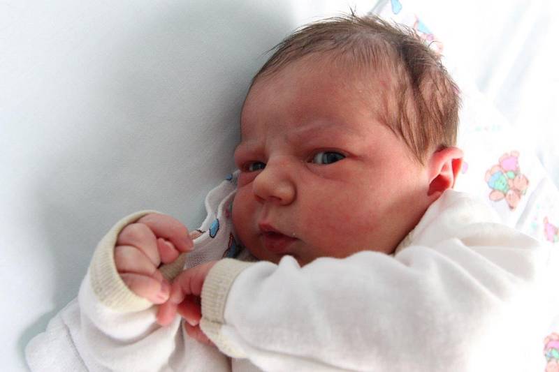 Andrea Krchníková se narodila 21. února 2013 v 7:27 hodin mamince Evě Krchníkové z Chomutova. Sestřičky z chomutovské porodnice jí připsaly míry 51 centimetrů a 3,45 kilogramu.