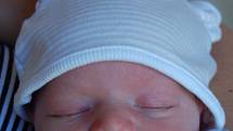 Kryštůfek Šroub se narodil mamince Haně Šroubové 27. 9. ve 2:31 hodin za pomoci chomutovských porodníků. Měřil 49 cm a vážil 2,8 kg. Rodina je z Chomutova.