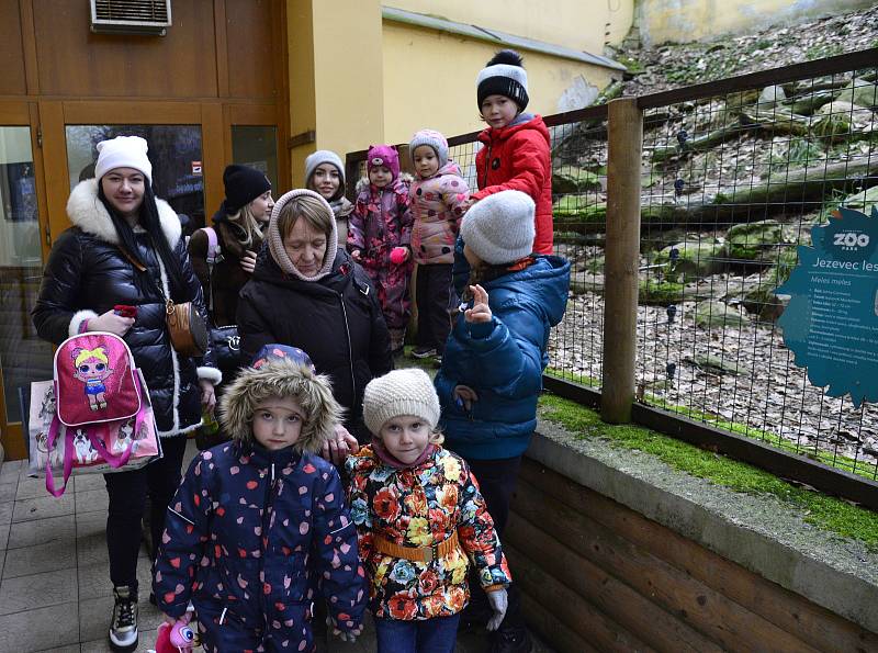 V sobotu do chomutovského medúzária zavítaly stovky zájemců.