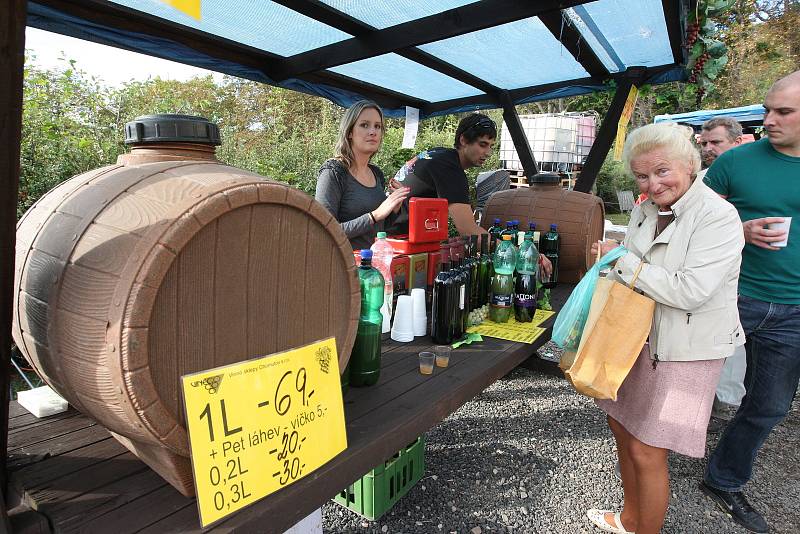 Svatováclavské vinobraní v Kadani.