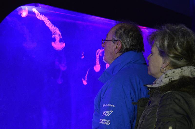 V sobotu do chomutovského medúzária zavítaly stovky zájemců.