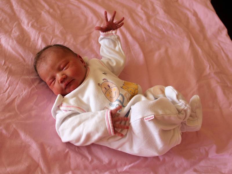 Alena Parkmanová se narodila mamince Adéle Šťáhlavské a tatínkovi Filipovi Parkmanovi z Jirkova 20. února 2019 ve 14:30 hodin. Měřila 52 cm a vážila 3,15 kg.