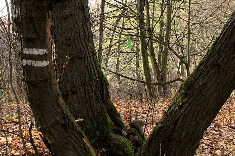 Park u zámku Červený Hrádek.