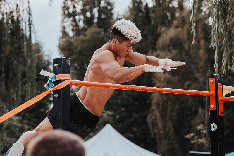 WSWCF Academy Street Workout World Cup 2020 na Kamencovém jezeře