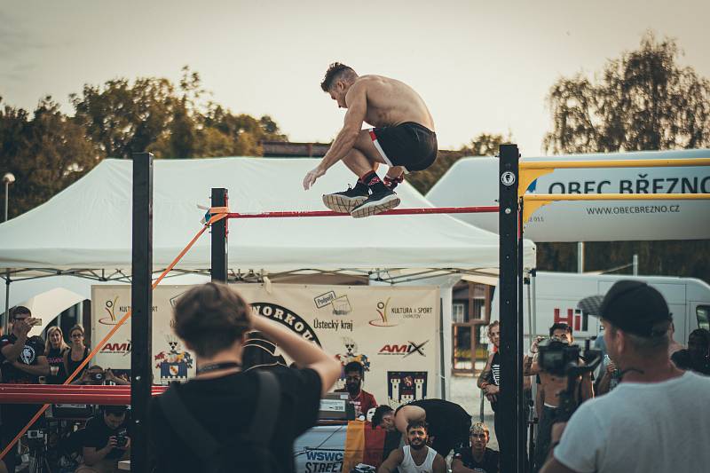 WSWCF Academy Street Workout World Cup 2020 na Kamencovém jezeře