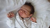 Malý Andrej Gabriel Jankovič se narodil poslední květnový den roku 2016 přesně ve 3:00 hodin spokojeným rodičům Zuzaně Botošové a Gabrielu Jankovičovi z Chomutova. Chomutovští porodníci malému klučinovi naměřili 42 cm a 2,55 kg. 