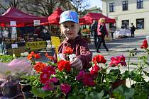 Nádherné jarní počasí přilákalo na jirkovské náměstí spoustu lidí. Nakupovali jarní sazenice, medovinu, pekárenské výrobky a další zboží.