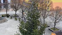 Vánočně vyšňořený strom v Jirkově.