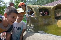 Nejnovější atrakcí chomutovského zooparku je venkovní terarijní expozice s jezírkem pro želvy.