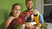 Radka Fejfarová se věnuje chovu exotických papoušků s přítelem Janem Havránkem.