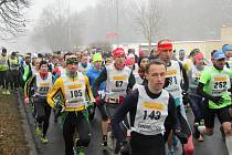 Na start 40. ročníku Zimního běhu Bezručovým údolím se postavilo 256 mužů a žen.  