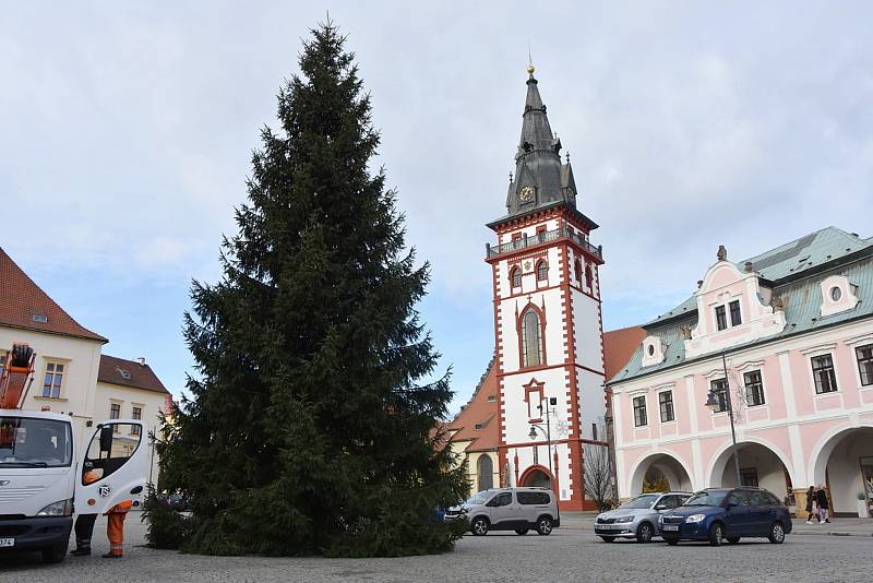 Na chomutovském náměstí 1. máje už stojí vánoční strom.