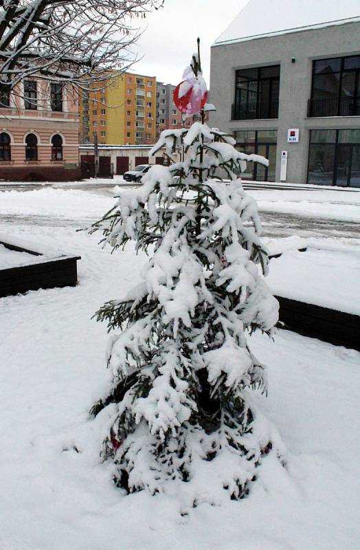 azdobené stromečky předškoláků a prvňáků na náměstí v Jirkově zasypal sobotní sníh.