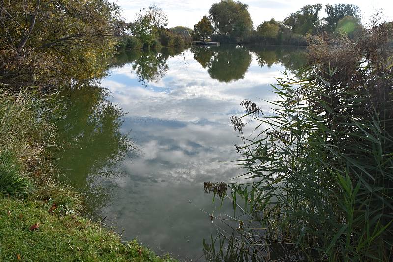 Velký a malý rybník ve Všestudech čeká obnova.
