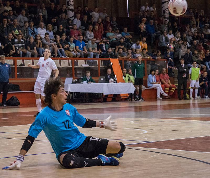 V chomutovské městské sportovní hale se dnes odehrál futsalový zápas Česko - Srbsko s výsledkem 3:4. Odveta se hraje za 14 dní v Srbsku.