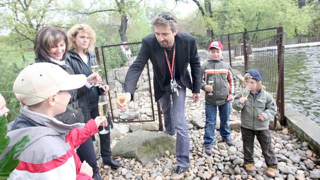 Herec Roman Zach připíjí mláděti tuleně kuželozubého.