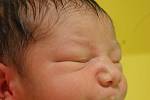 Daniel Badi se narodil Veronice Sičkové 12. 11. v 8:30 hod. v chomutovské porodnici, měřil 48 cm a vážil rovná tři kila.