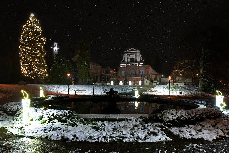 Vánoční strom v zámeckém parku v Klášterci nad Ohří