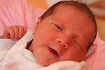 Malá Darja Štětinová se narodila mamince Zuzaně Horáčkové z Klášterce nad Ohří. Přišla na svět v kadaňské porodnici 8. září v 17.14 hodin. Měřila 49 centimetrů a vážila 3,15 kilogramu. . . .
