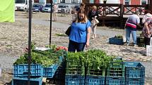 Středeční Severočeské farmářské trhy na Mírovém náměstí v Kadani.