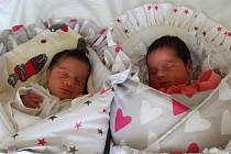 Dvojčátka Růžena a Natálie se narodila 24. listopadu 2018 v 19.39 a 19.41 hodin rodičům Simoně Ullmannové a Lukášovi Schnajgerovi z Jirkova. Růženka Ullmannová měřila 44 cm a vážila 1,9 kg a Natátlka Ullmannová měřila 46 cm a vážila 2,2 kg.