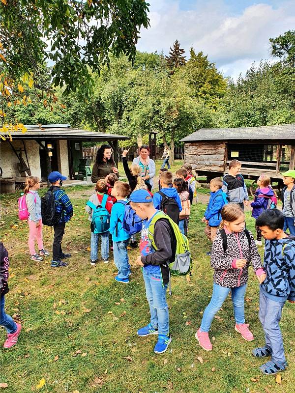 Školní družina ZŠ Kadaňská Chomutov byla v zooparku.