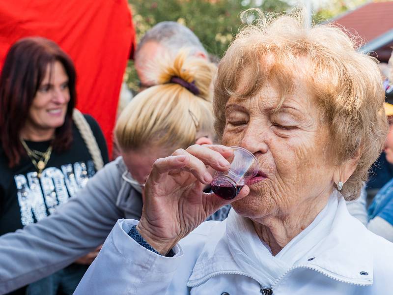 Březenské vinobraní.