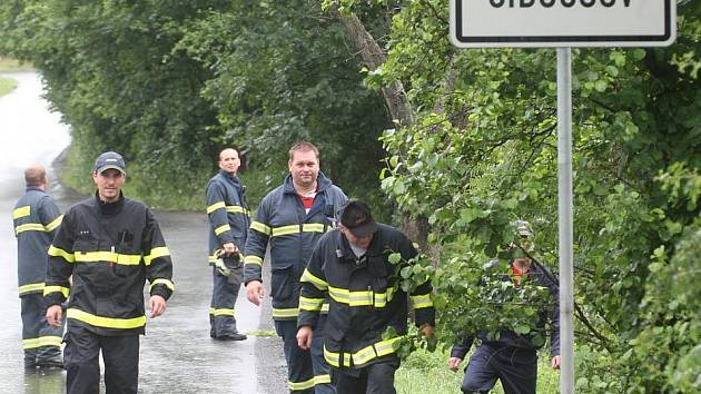 V nejbližších dnech po ženině zmizení po ní pátraly desítky policistů, hasičů a dobrovolníků. Bezvýsledně. Byla nalezena čtyři kilometry od Klášterce.  