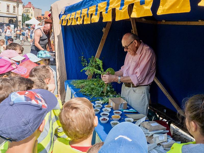 Krušnohorský regiofest v Chomutově