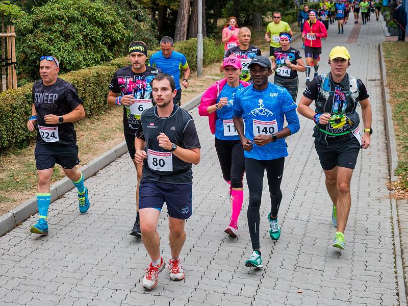 Chomutov zopakoval po loňské premiéře "Chomutovský půlmaraton"