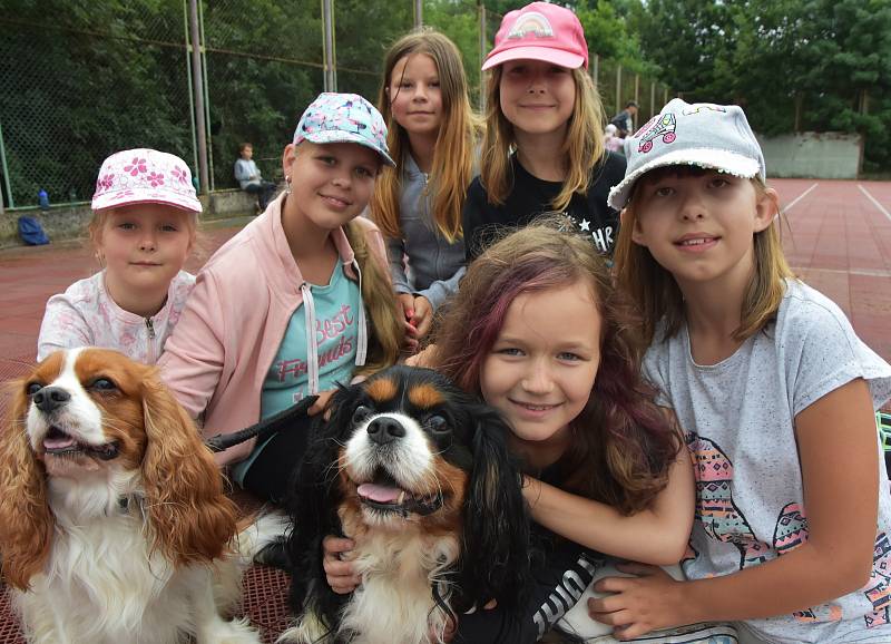 V Zásadě u Kadaně táboří pionýrská skupina z Ústí nad Labem. S sebou má kanisterapeutické psy, se kterými si děti mohou hrát a mazlit se.