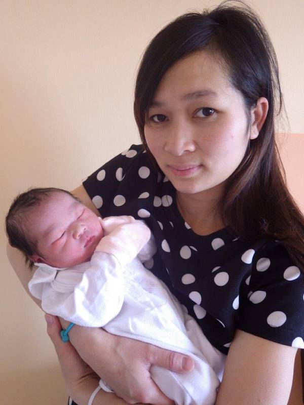 U maminky v náručí je nejspokojenější Nguyen Ngoc Ha An, která se narodila 28.4.2016 v 5:51 hodin v chomutovské porodnici. Maminka Le Thi Tuyet a tatínek Nguyen Quynh Nam se od té doby radují z holčičky s mírami 3.3 kg a 51 cm.