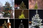 Hledáme nejkrásnější vánoční strom okresu Chomutov
