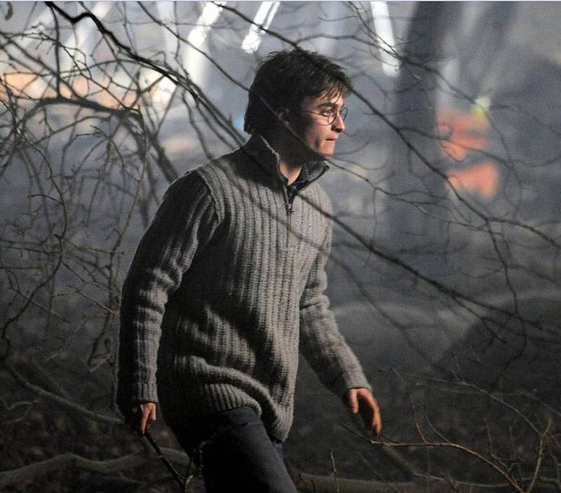 Harry Potter a relikvie smrti: Harry