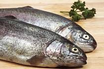 Rybí tuk je snad jediným potravinovým doplňkem, který i při klinických testech dokazuje, že chrání před nemocemi srdce. 